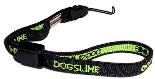 CLICKER-ARMBAND VON DOGSLINE® STRETCH-ARMBAND