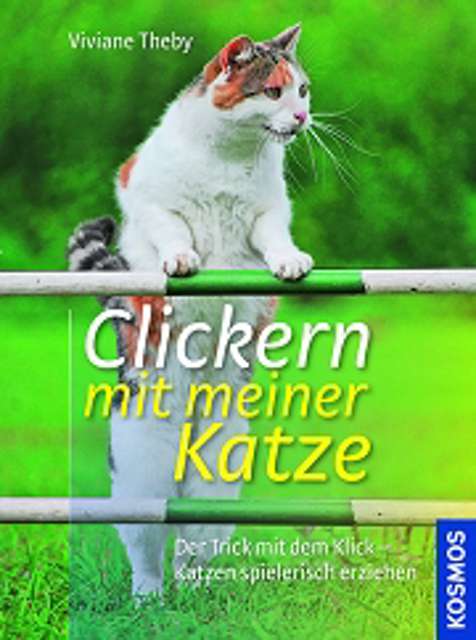 CLICKERN MIT MEINER KATZE