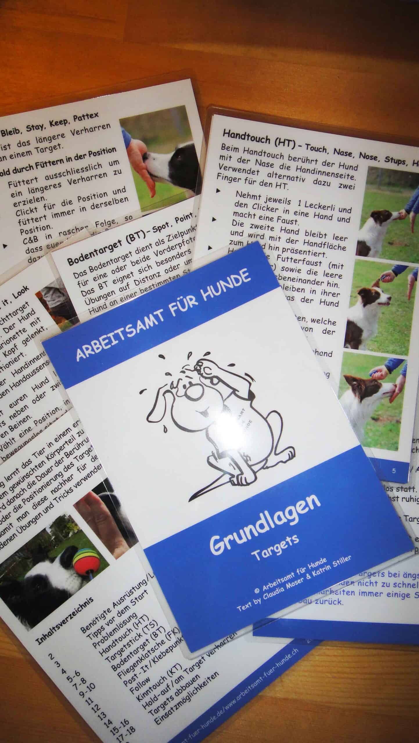 TRAININGSKARTEN GRUNDLAGEN - TARGETS